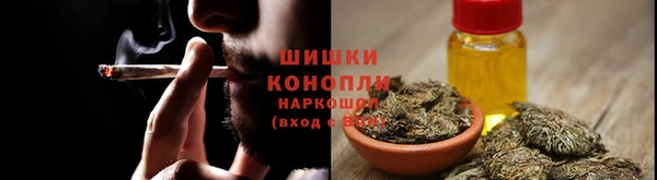 гашик Пестово