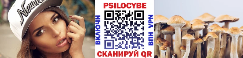 Псилоцибиновые грибы Psilocybe Купить закладки Гурьевск